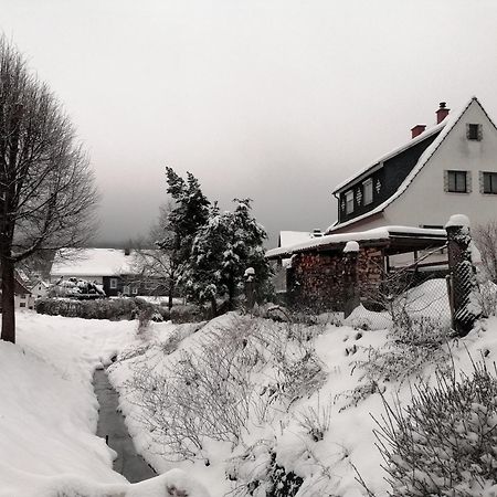Ferienwohnung Wilhelm Springstille 外观 照片