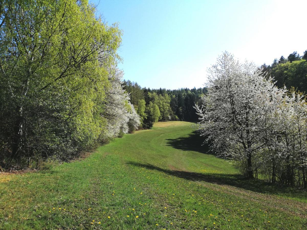 Ferienwohnung Wilhelm Springstille 外观 照片