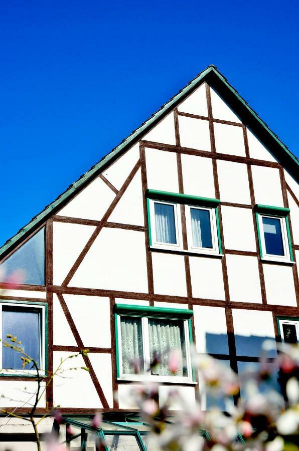 Ferienwohnung Wilhelm Springstille 外观 照片