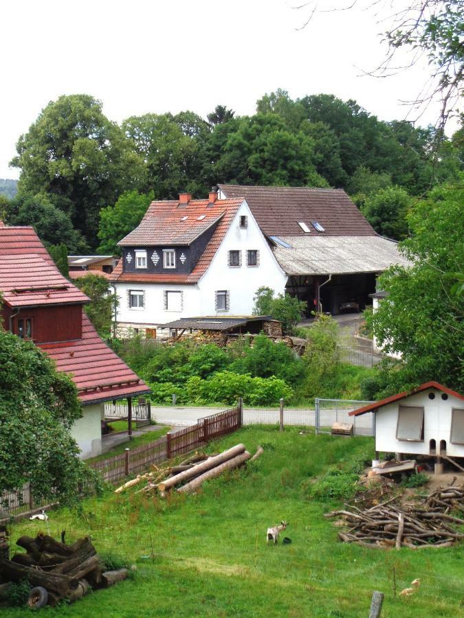 Ferienwohnung Wilhelm Springstille 外观 照片